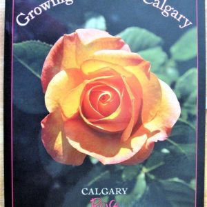 Growing roses in Calgary