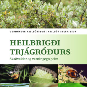 Heilbrigði trjágróðurs