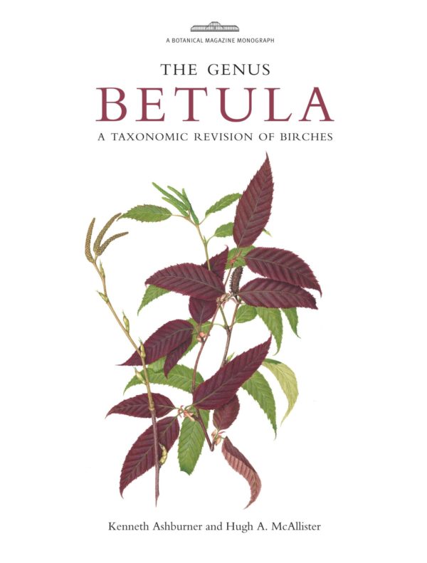 The genus Betula