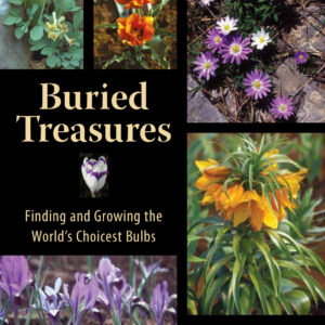 Buried treasures