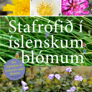 Stafrófið í íslenskum blómum