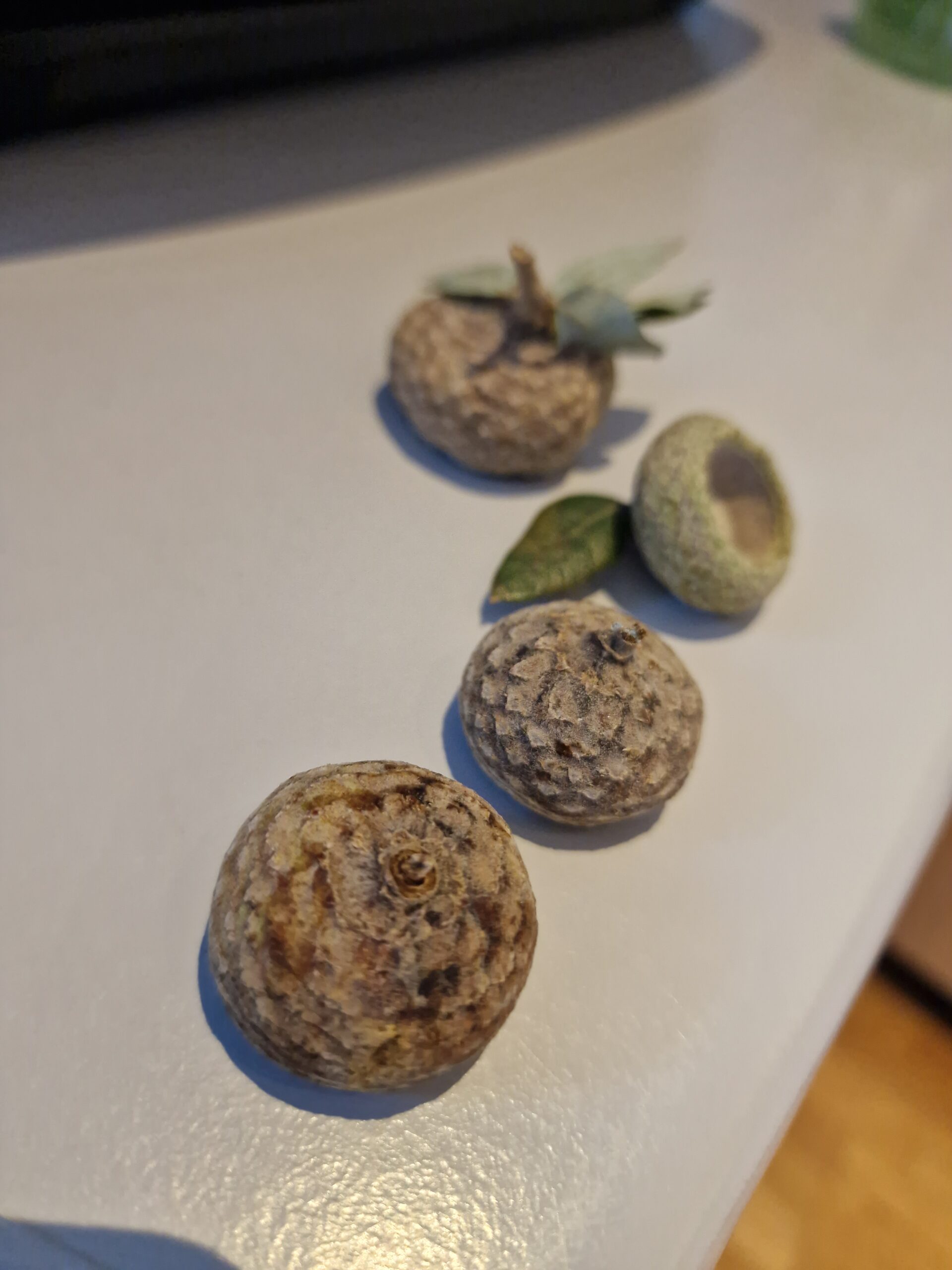 Hattar af akörnum. KFF